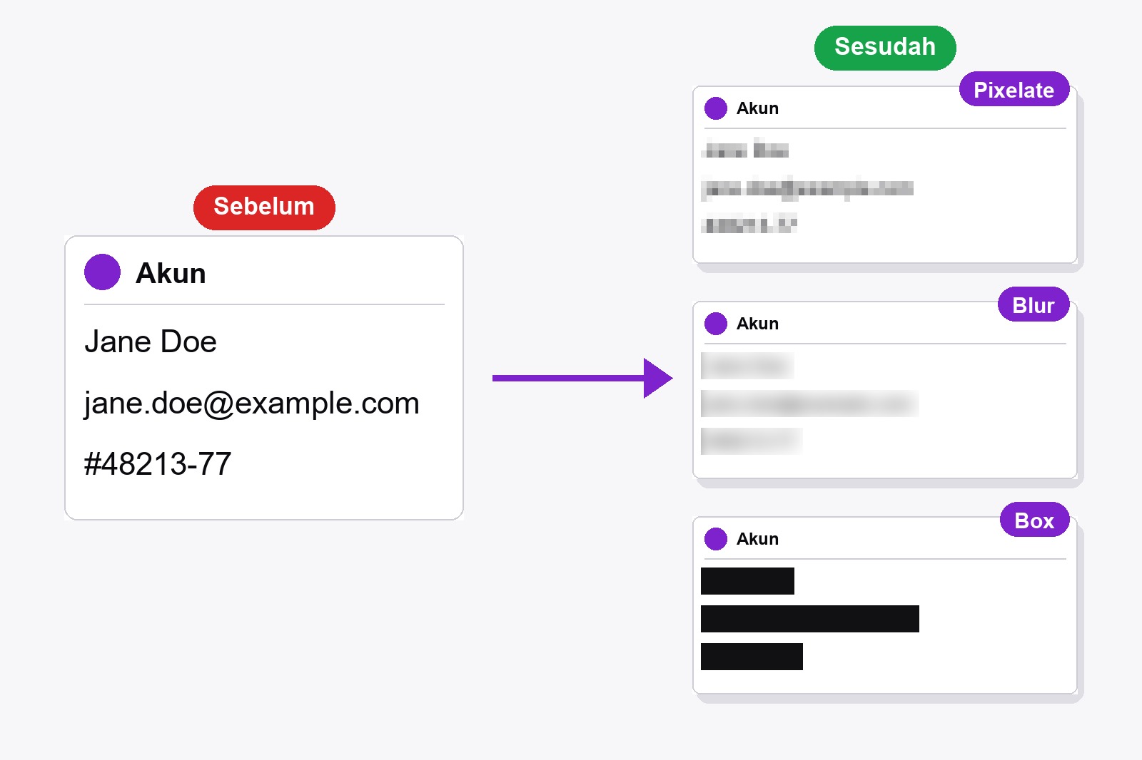 Kartu akun palsu dengan nama, email, dan nomor pesanan: sekali terbaca dan tiga kali ditutup dengan Pixelate, Blur, dan Box